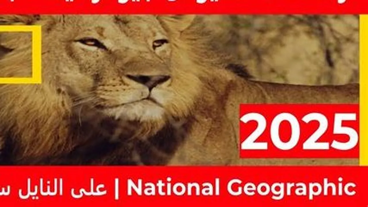 تحديث تردد قناة ناشيونال جيوغرافيك الجديد على قمري النايل سات وعرب سات